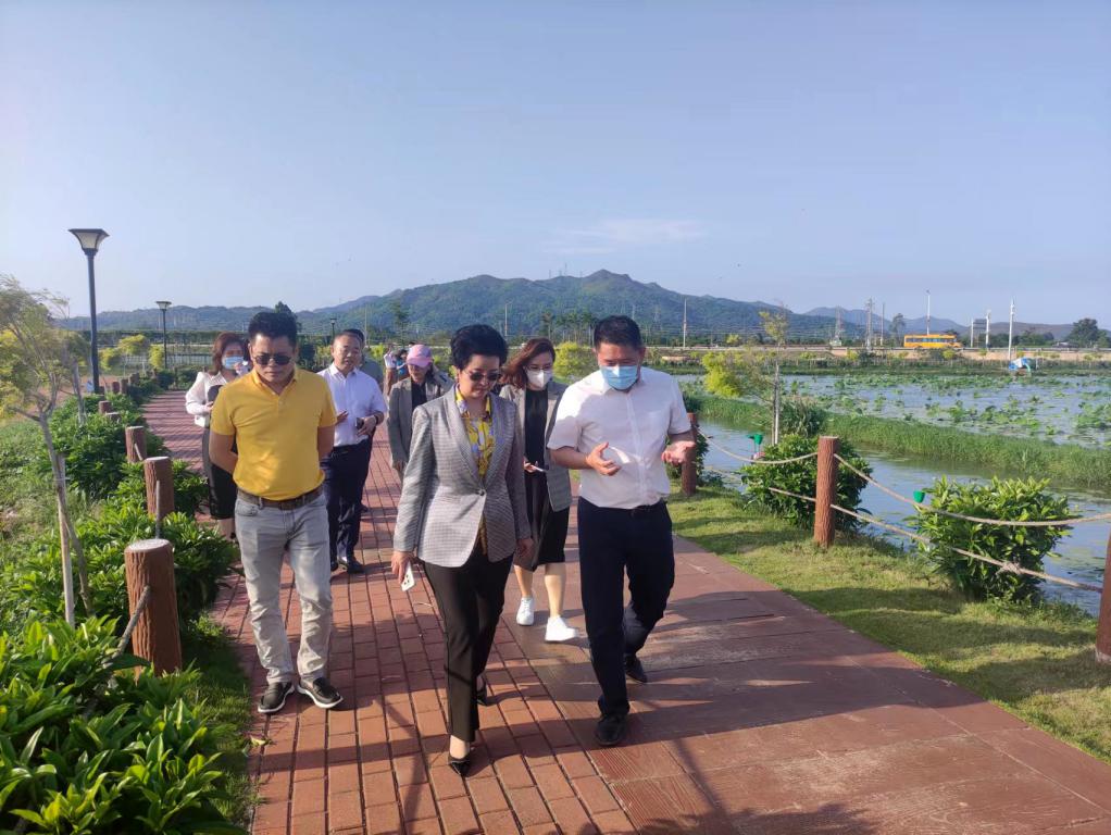 省生态修复协会轮值会长单位永乐高ylg888888集团带队赴汕尾全域土地整治军民融合试点项目调研