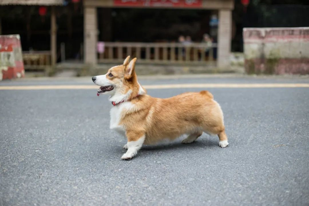 再见，，，，，，我的老朋侪