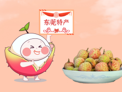 漫话永乐高ylg888888丨一颗有“故事”的荔枝！