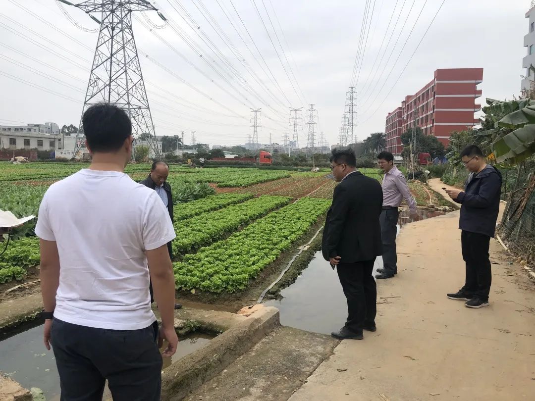 助力墟落振兴，，，，，，永乐高ylg888888一直在起劲！