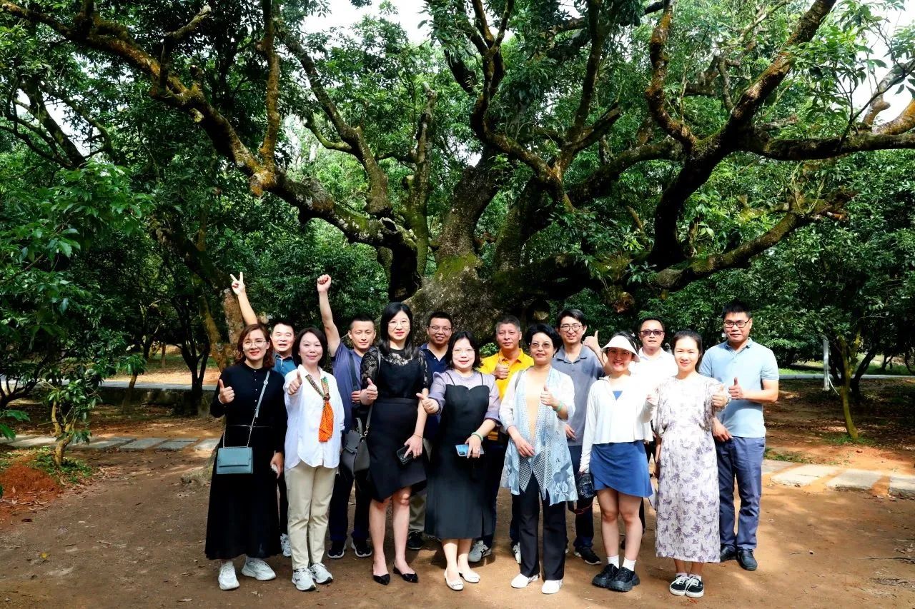 永乐高ylg888888集团作为省领土空间生态修复协会轮值会长带队调研粤西全域土地综合整治事情