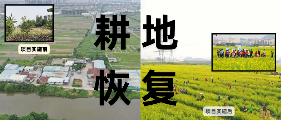 耕地；；；；；；；；び刖蒙す踩凇甘泻窠终蛩谏缜读继锵钅扛鼗指从氤窍缛诤系牧⒁焓导