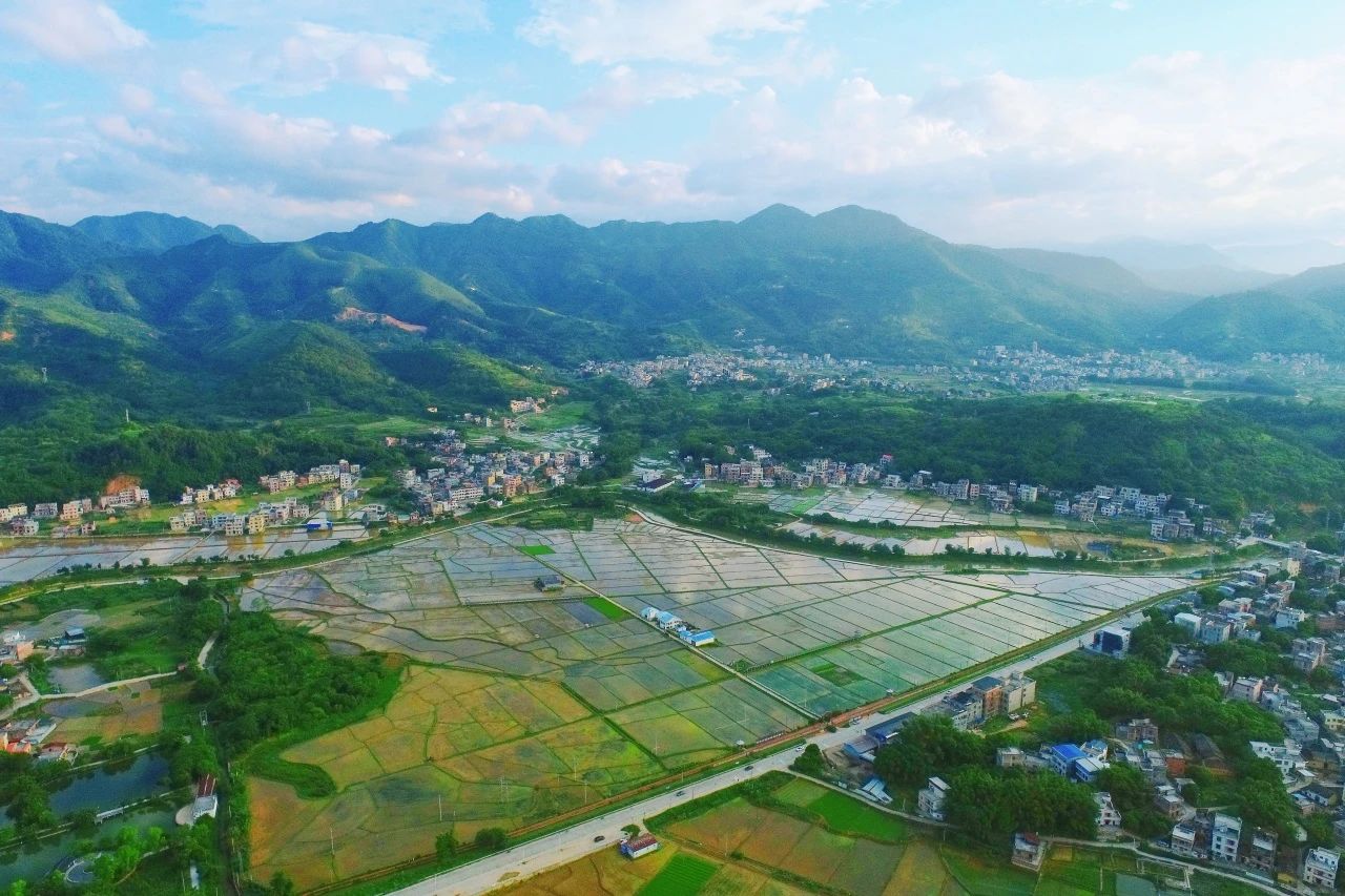 永乐高ylg888888集团丨“百万万工程”显实效：云浮罗定泗纶镇以全域土地综合整治为抓手，，，，，，，绘就墟落振兴新画卷